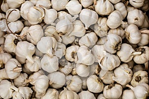 Bulk garlic on the market