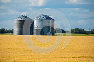 Bulk steel storage silos by crop fields