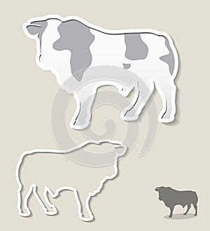 Bull banner