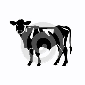 Bull black icon on white background. Cow silhouette