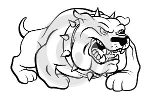 Bull Dog Vector Illustration