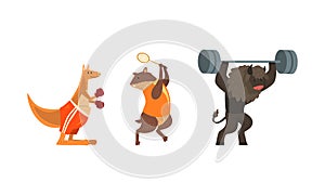 Bull Exercising with Barbell, Marmot Playing Tennis, Kangaroo Boxing, Powerful Wild Animals Characters Doing Sports