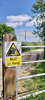 Bull in field warning sign.