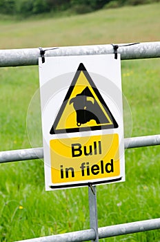 Bull in field warning sign