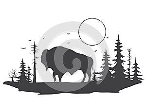 Bull in forest