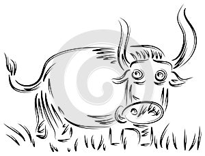 Bull in gross field
