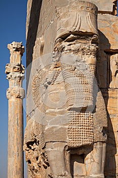 Bull with the Head of a Bearded Man in Takhte Jamshid of Shiraz