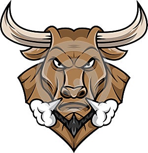 Bull head mascot