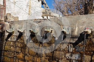Bull head pipe of the holy spring at sacred Muktinath temple