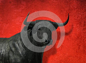 Bull head with red background