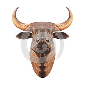 bull head statue for wall decoration on white