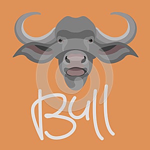 bull head vector illustration style flat