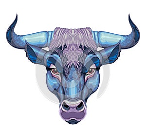 Bull head, vector isolated animal