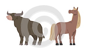 Bull and Horse with Mane as Hoofed Mammal with Horns and Farm Animal Vector Set