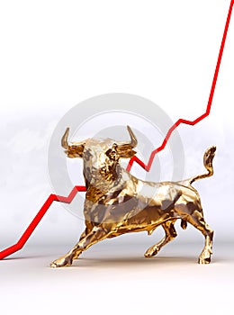 Bull Market photo