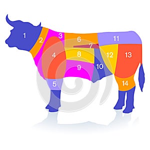 Bull meat