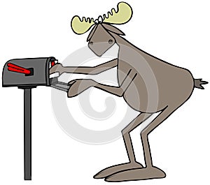 Bull moose mailing a letter