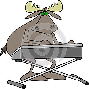 Bull moose playing keyboard