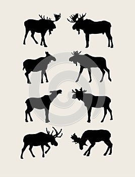 Bull Moose Silhouettes