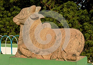 A bull -nandhi- sculpture in the Grand aged dam of Kallanai constructed by king karikala chola with granite stone. photo