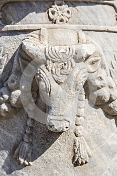 Bull relief on column head in Knidos, Datca, Mugla, Turkey