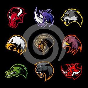 Bull, rhino, wolf, eagle, cobra, alligator, panther, boar head isolated vector logo concept. photo