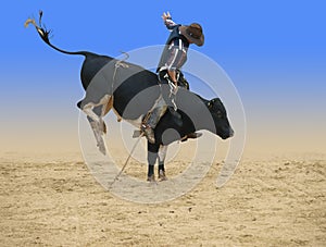 Bull Rider photo