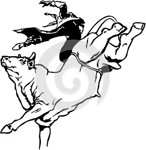 Bull Rider Illustration photo