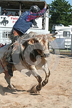Bull rider