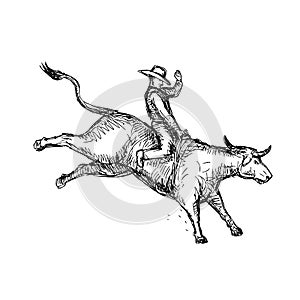Bull Riding Rodeo Cowboy Drawing