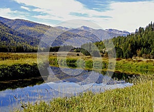 Bull River Reflection