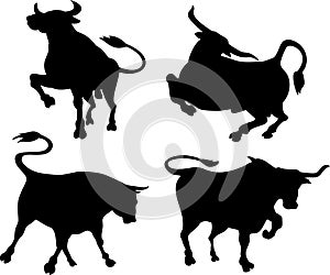 Bull silhouettes