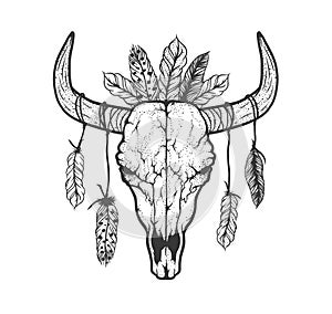 Bull skull with feathers native Americans tribal style. Tattoo blackwork. Vector hand drawn illustration. Boho design