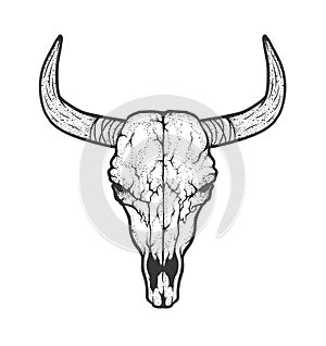 Bull skull native Americans tribal style. Tattoo blackwork. Vector hand drawn illustration. Boho design