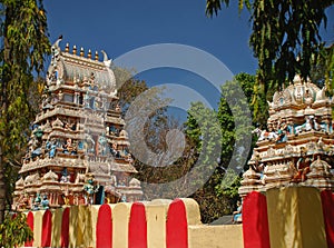 Bull worship Temple, Bangalore, India photo