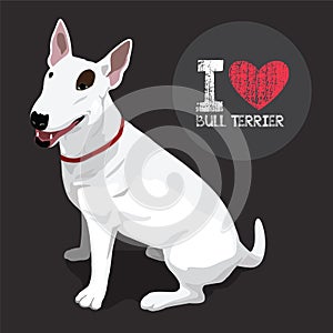 Bull Terrier