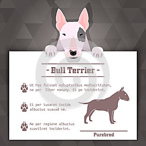 Bull terrier dog banner