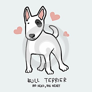 Bull Terrier dog , Big head, Big heart cartoon illustration