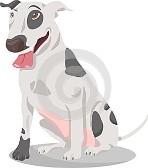 Bull terrier dog cartoon illustration