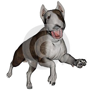 Bull terrier dog runnning - 3D render