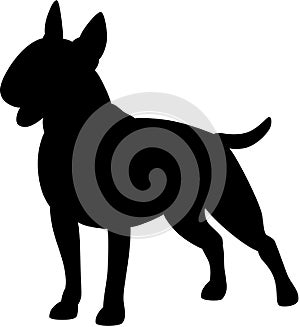 Bull terrier dog silhouette