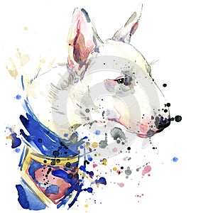 Bull Terrier dog Superman T-shirt graphics. dog illustration with splash watercolor textured background. unusual illustration wa