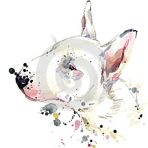 Bull Terrier dog T-shirt graphics. dog illustration with splash watercolor textured background. unusual illustration watercolor