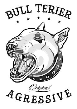 Bull terrier vector illustration