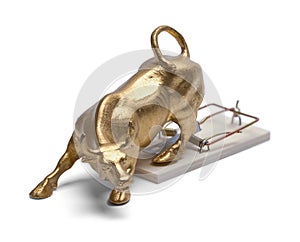 Bull Trap