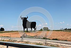 Bull unofficial symbol of Spain photo