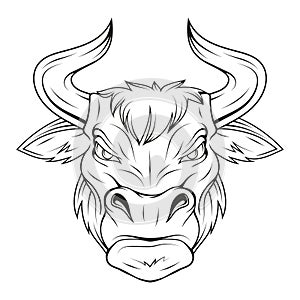 Bull. Vector illustration of a sketch of an ox. Buffalo mascot. Aggressive muscle nowt. Spanish fighting bull photo