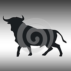 Bull Vector / Touro Vector