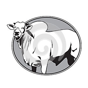 Bull zebu vintage logo