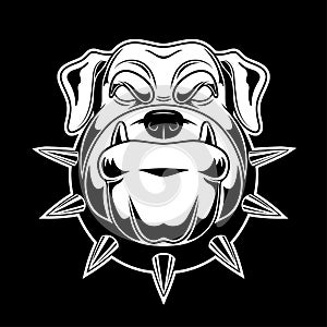 Bulldog_2